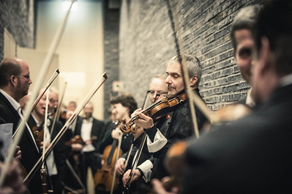  The Norwegian Chamber Orchestra